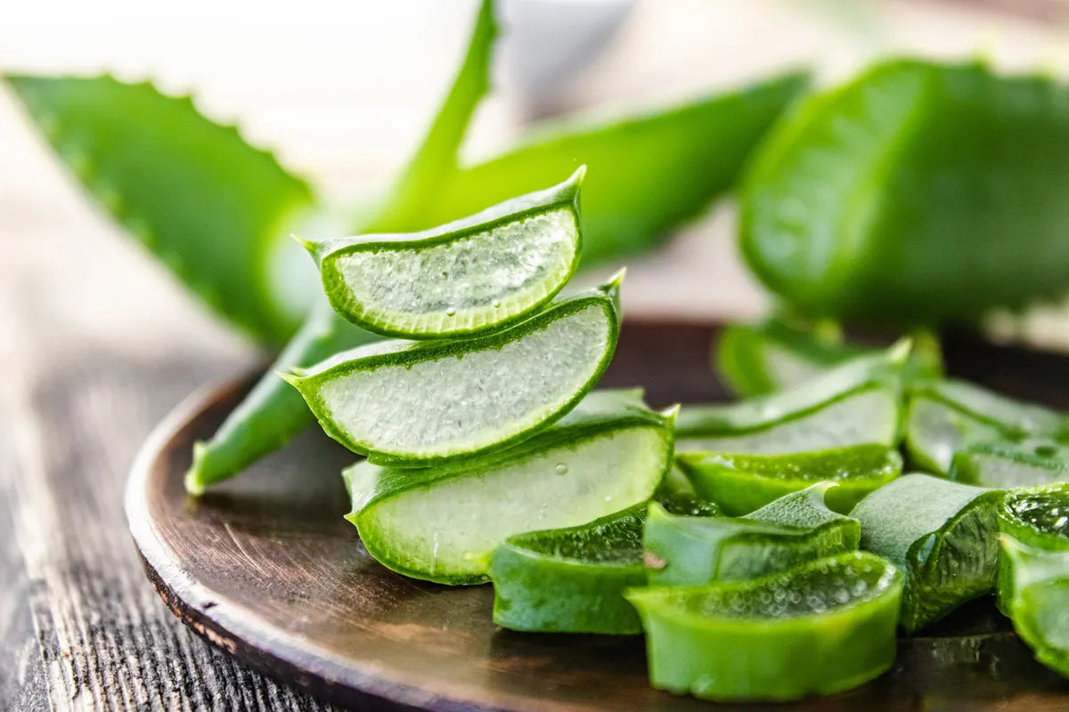 Aloe vera: quali sono i benefici?