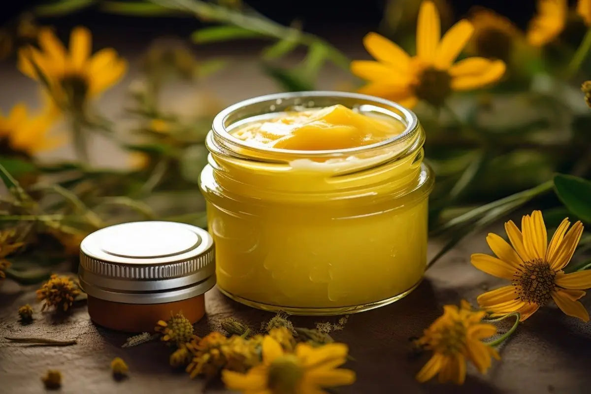 Arnica: scopri a cosa serve, le proprietà e come usarla