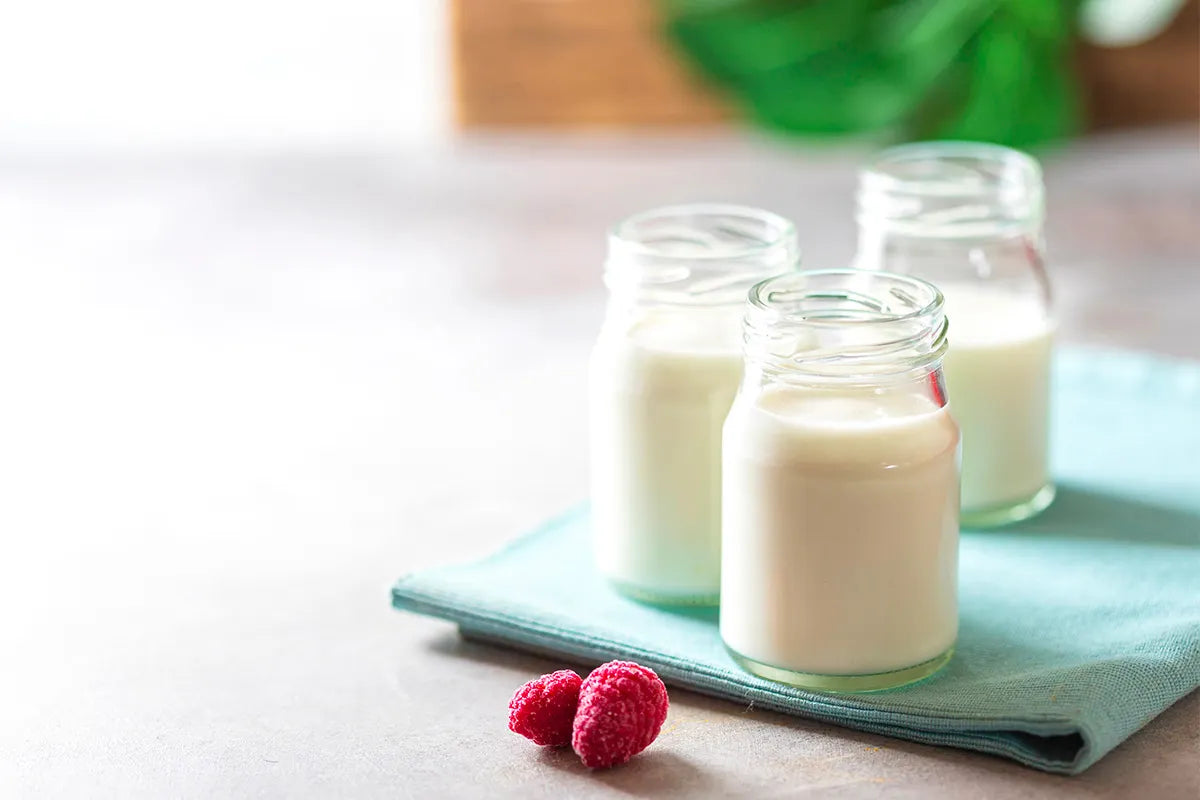 Fermenti lattici e probiotici: i nostri consigli