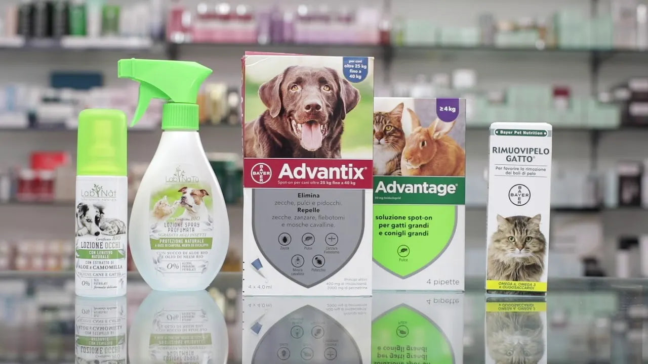 Come prendersi cura degli animali domestici in Primavera con farmae.it