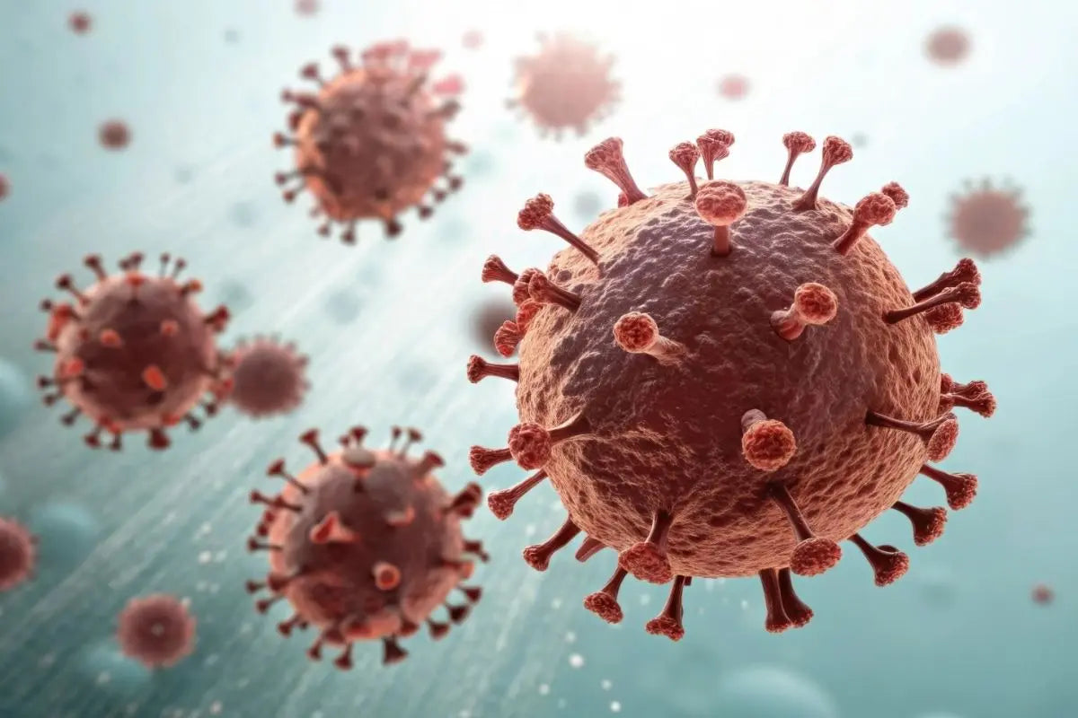 Papilloma Virus nell'uomo: cos’è, sintomi, cura