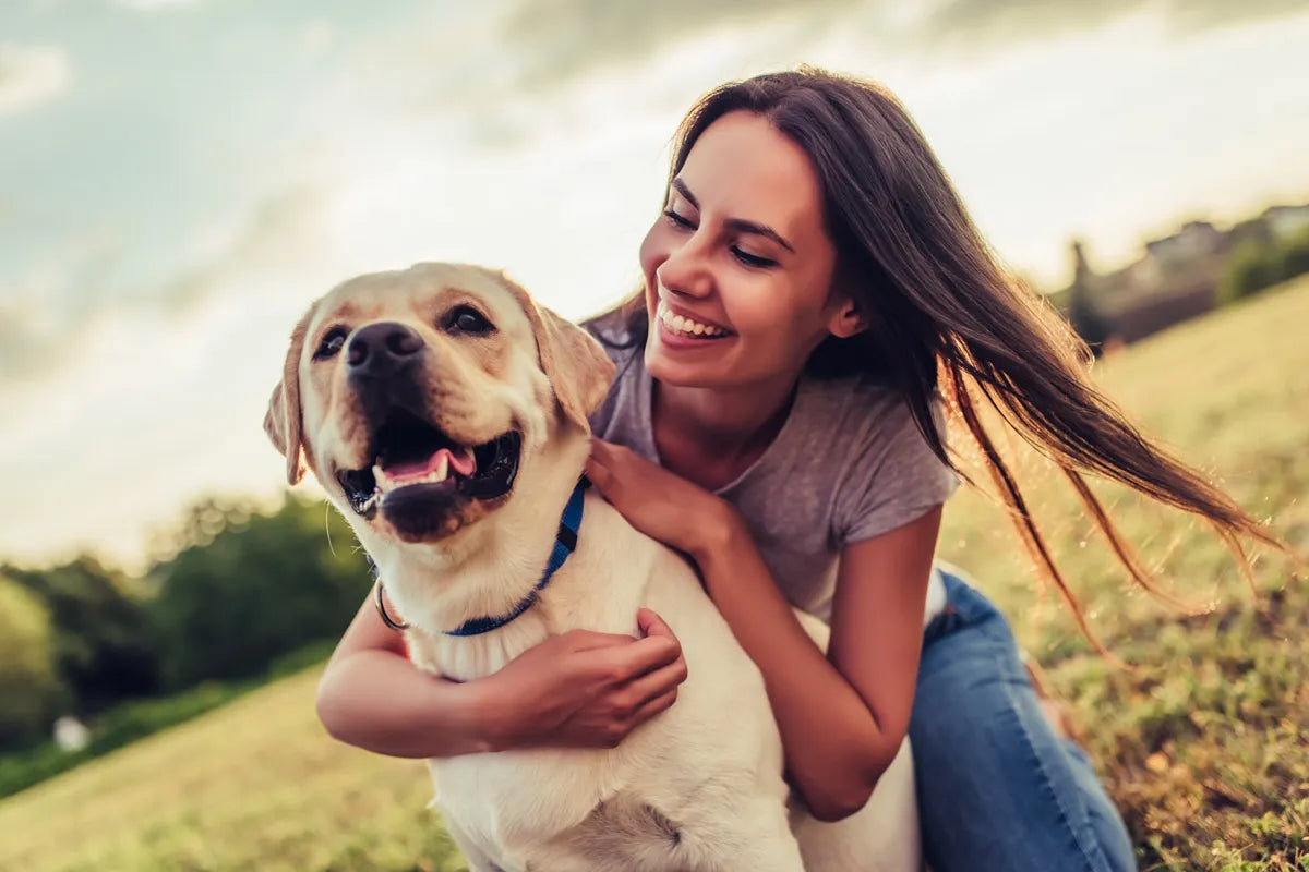 Prendersi cura del cane: tre prodotti per la sua salute