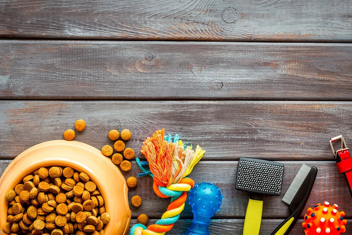 Cane e gatto, migliorare il pelo con alimentazione e integratori