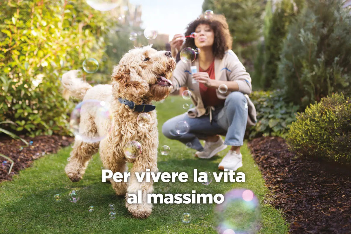 Sensibilità cutanea e alimentare di cani e gatti