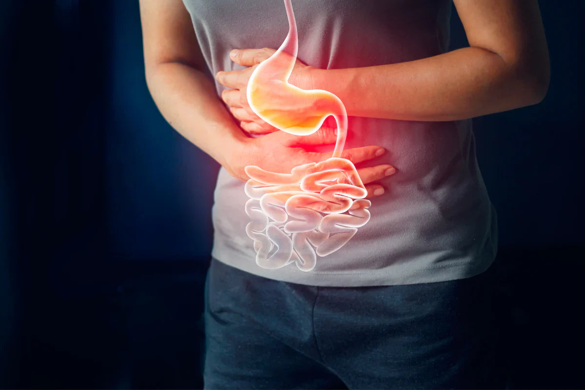 Difficoltà a digerire? Ecco come aiutare stomaco e intestino