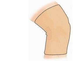 Gibaud Ginocchiera Sport Camel Taglia 5  - 1