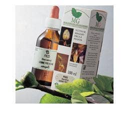 ROSA CANINA 100ML MG-1