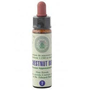 FIORI DI BACH 7 CHESTNUT GTT-1