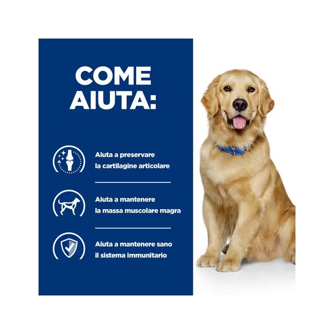 Hill's Prescription Diet J/D Mobility Crocchette Per Cani Adulti Sacco 1,5kg-3