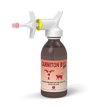 CARNITON B 12 GEL 125ML-1