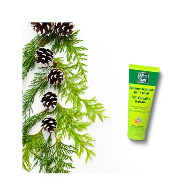 Allgasan Balsamo Piedi 100ml-2