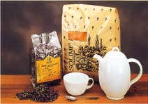 CANNELLA CORT INTERA TT 100G-1