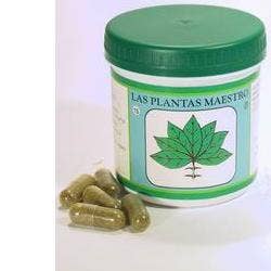 DR POCK UNCARIA 50CPS-1