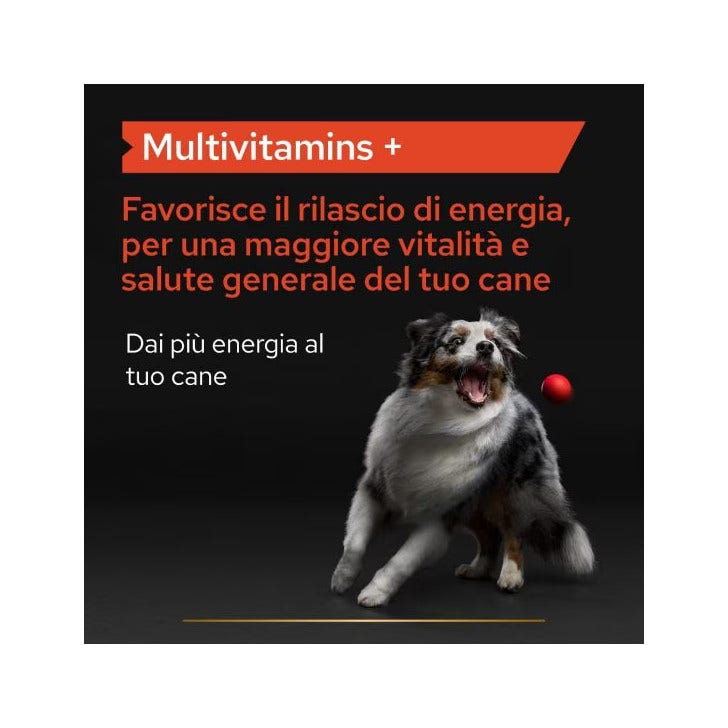 Purina Pro Plan Dog Supplement Multivitamins+ Alimento Complementare Per Cani 67g-2