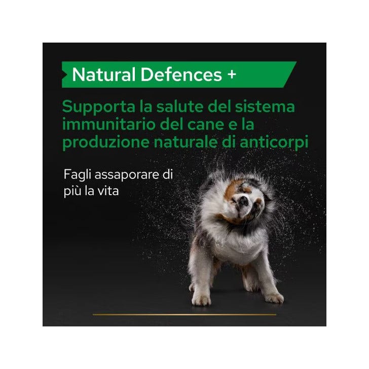 Purina Pro Plan Dog Supplement Natural Defences+ 135g-2