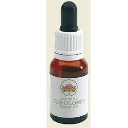 Pink Mulla Mulla Australian Bush Flower 15ml-1