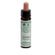 AINSWORTHS GENTIAN 10ML-1