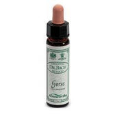 AINSWORTHS GORSE 10ML-1