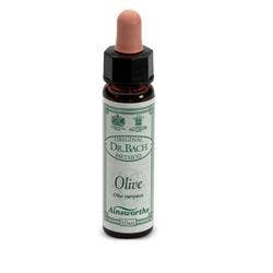 AINSWORTHS OLIVE 10ML-1