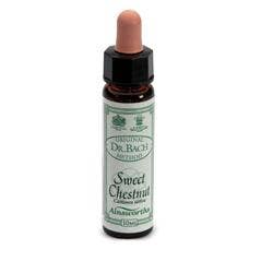 AINSWORTHS SWEET CHESTNUT 10ML-1