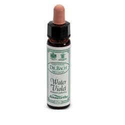 AINSWORTHS WATER VIOLET 10ML-1