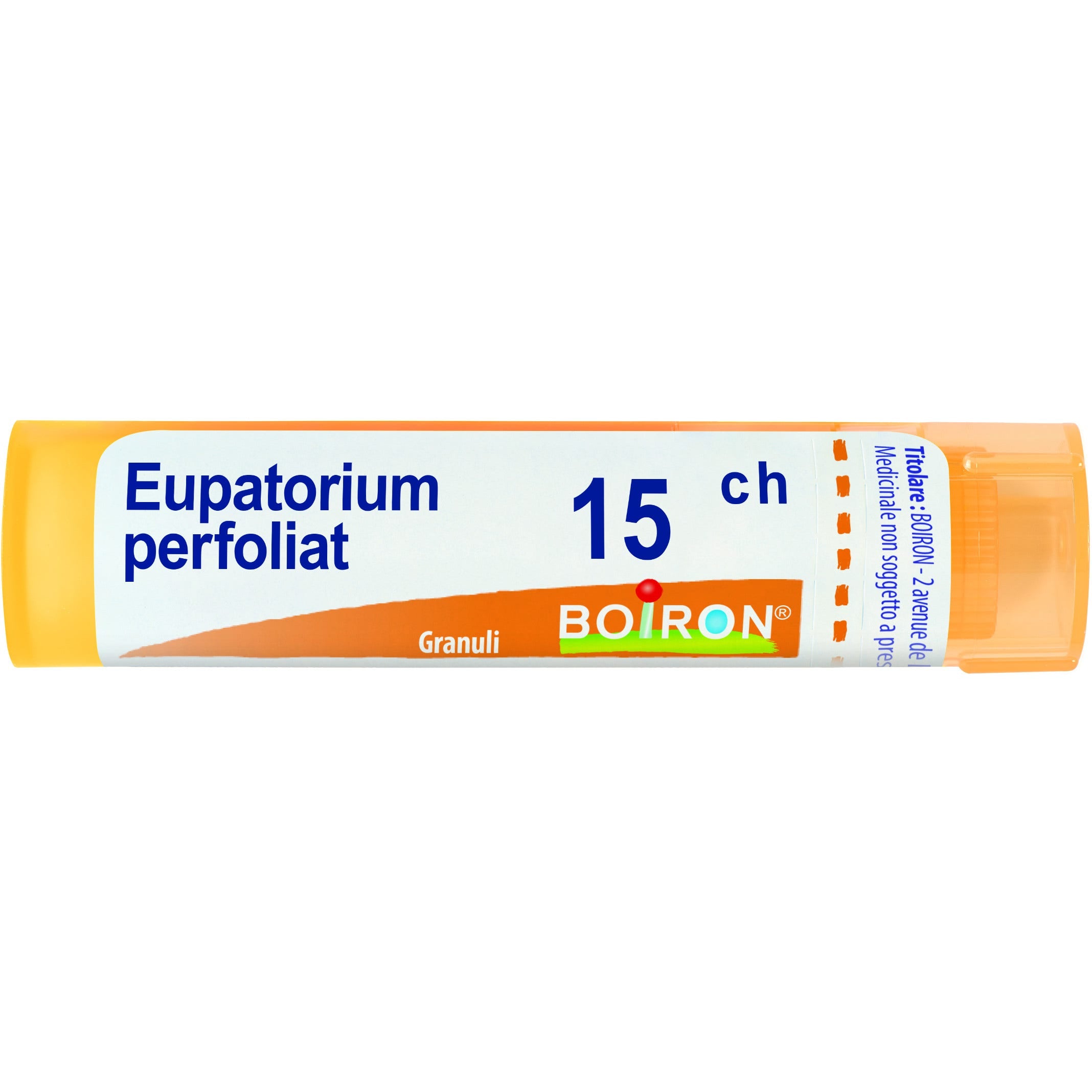 Boiron Eupatorium Perfoliatium 15 ch Tubo 4g-2