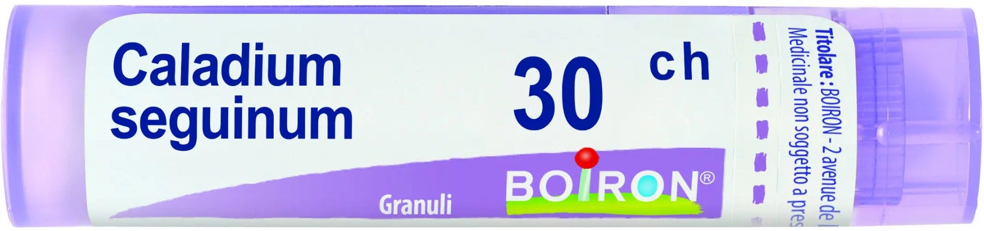 Boiron Caladium Seguinum 30Ch Multidose Granuli 80g-1