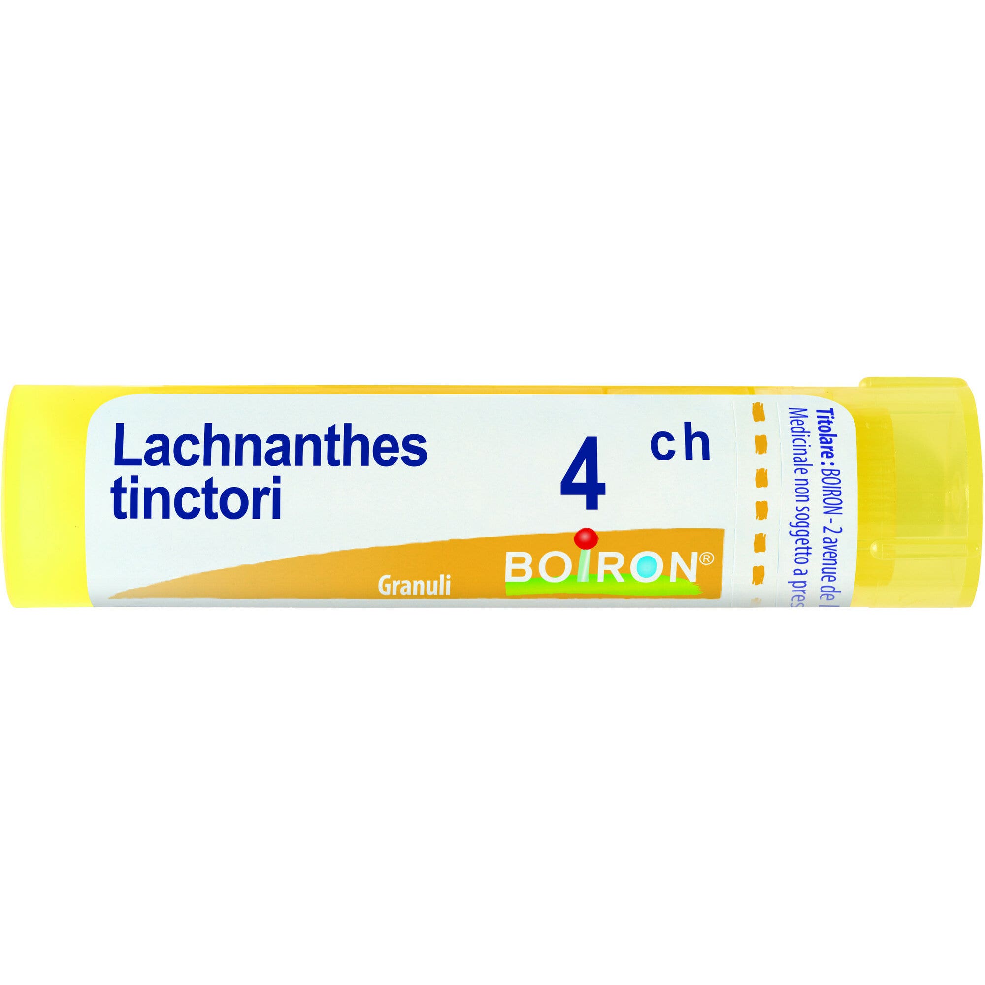 Boiron Lachnanthes Tinctoria 04Ch Tubo 80 Granuli-2