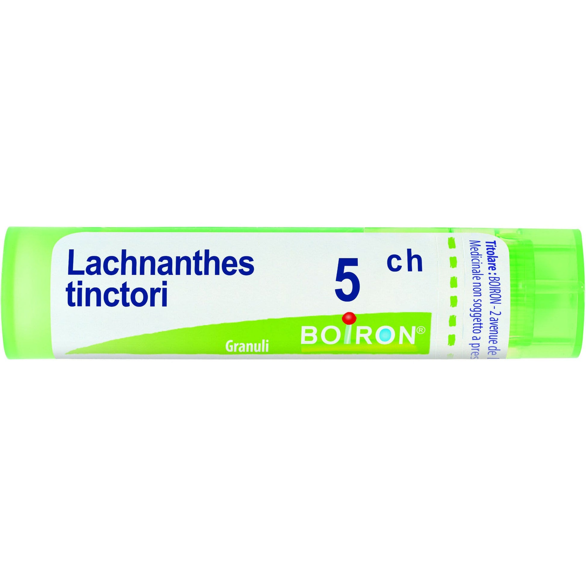 Boiron Lachnanthes Tinctoria 05Ch Tubo 80 Granuli-2