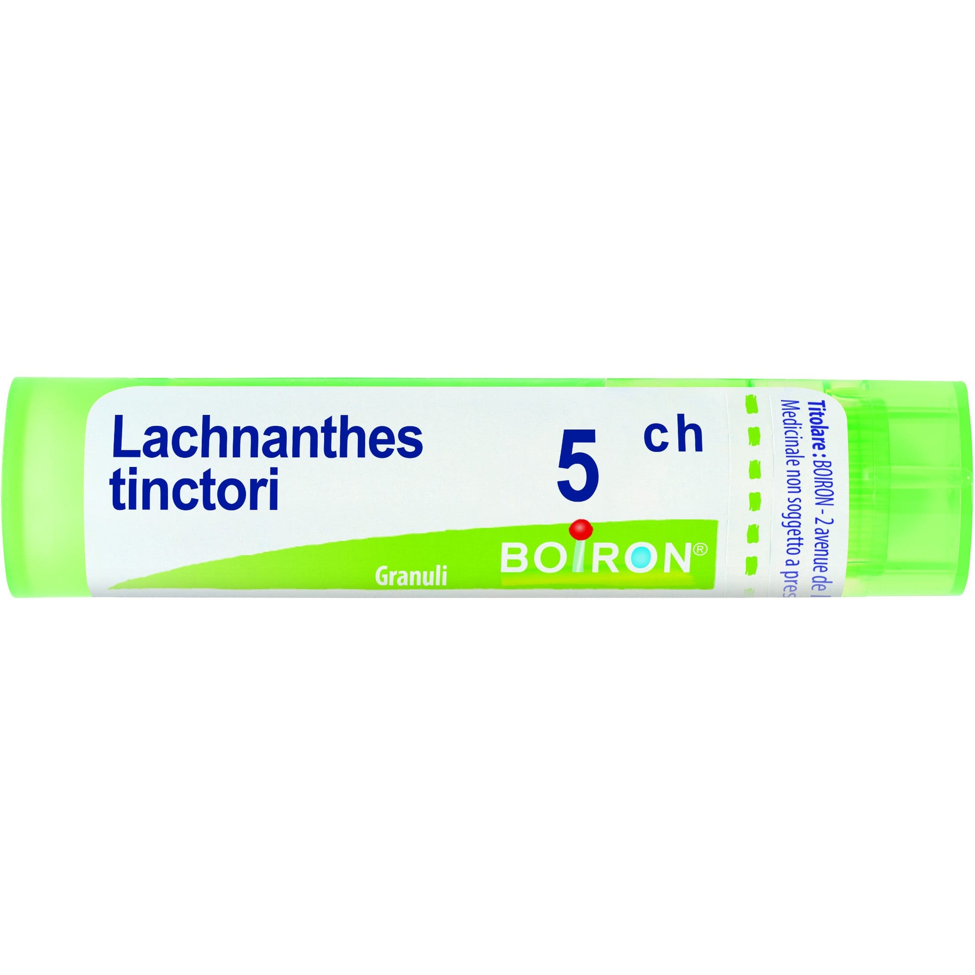 Boiron Lachnanthes Tinctoria 05Ch Tubo 80 Granuli-1
