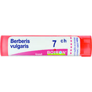 Boiron Berberis Vulgaris 07Ch Tubo 80 Granuli 4g  - 1