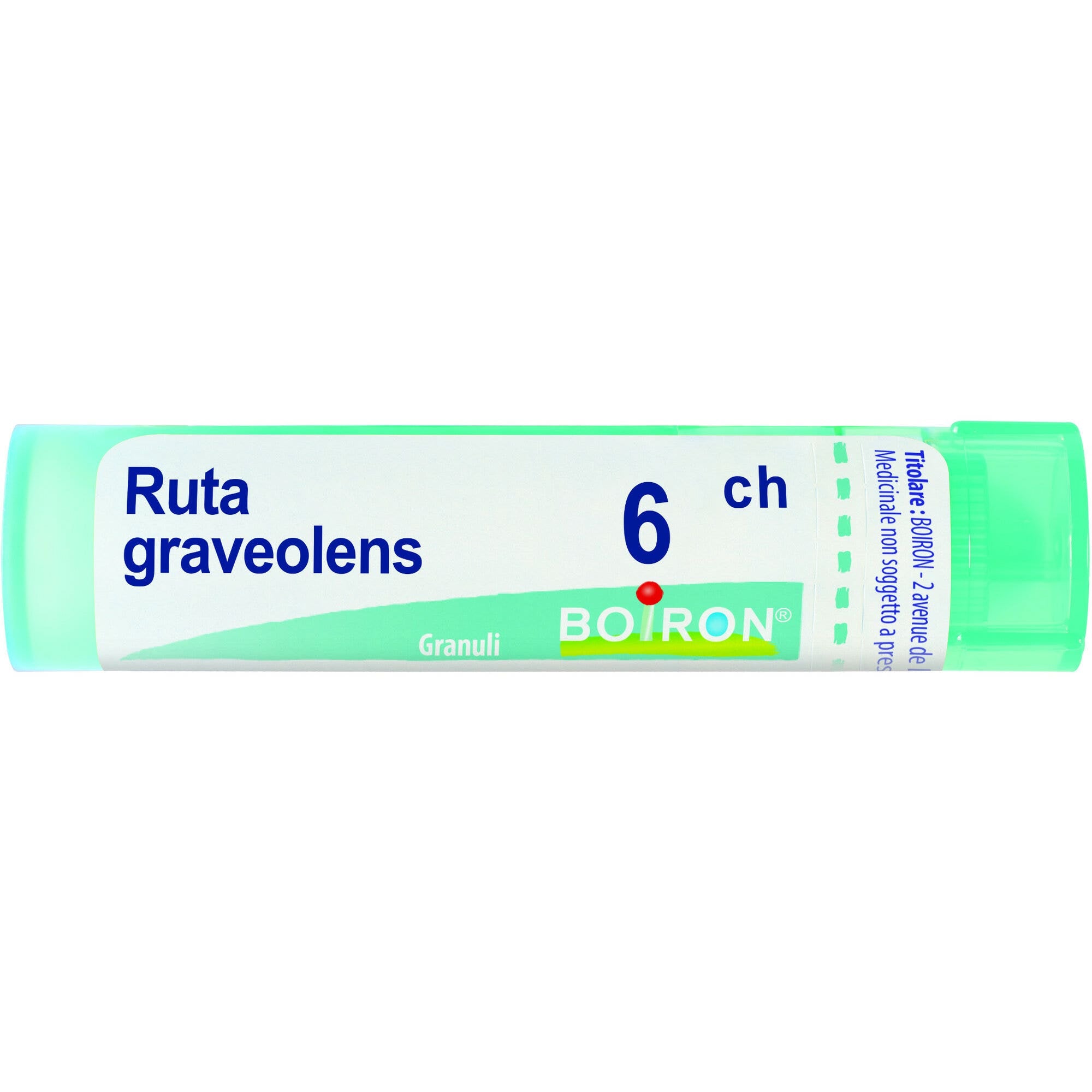 Boiron Ruta Graveolens 06Ch Tubo 80 Granuli 4g-2