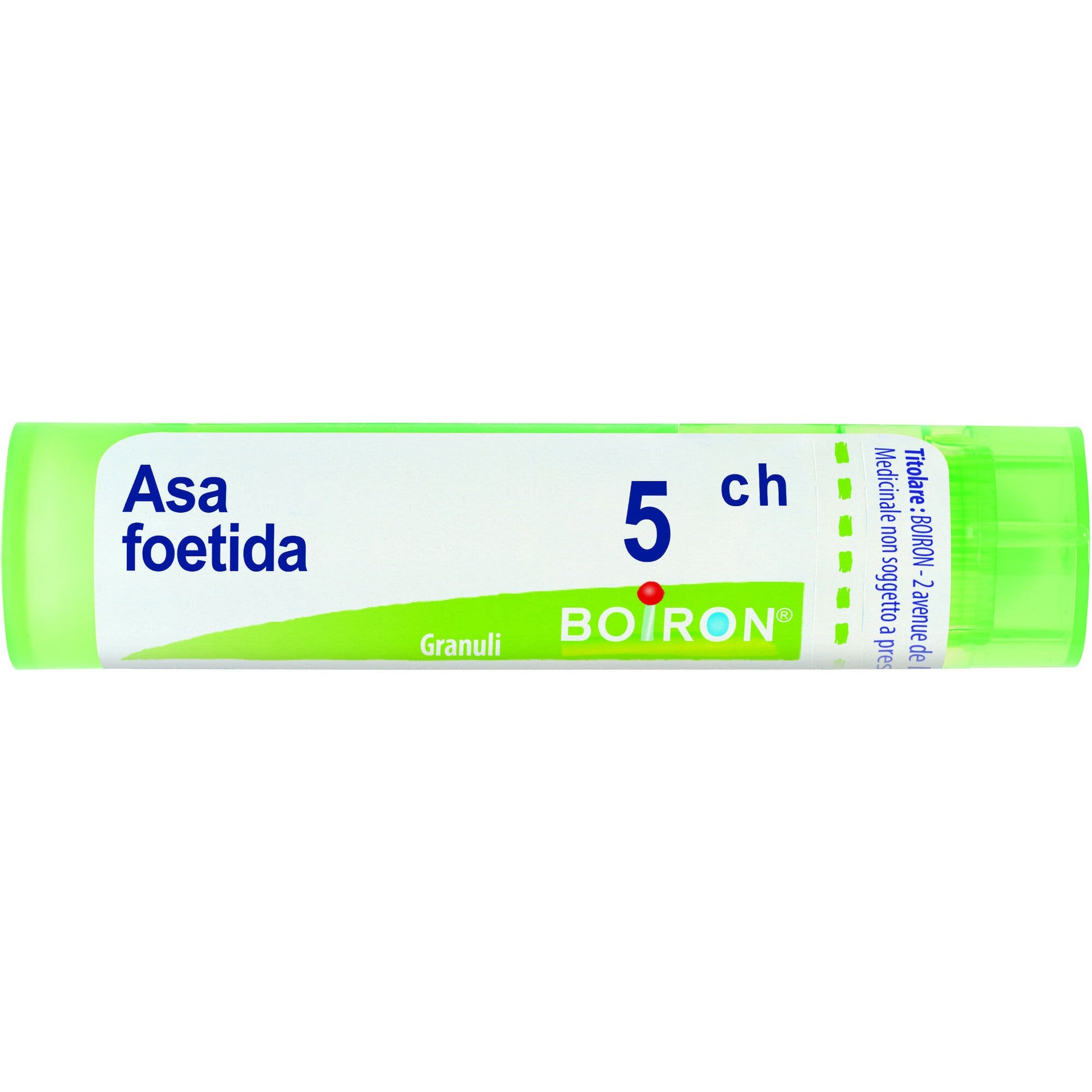 Boiron Asa Foetida 05Ch Tubo 80 Granuli 4g-2