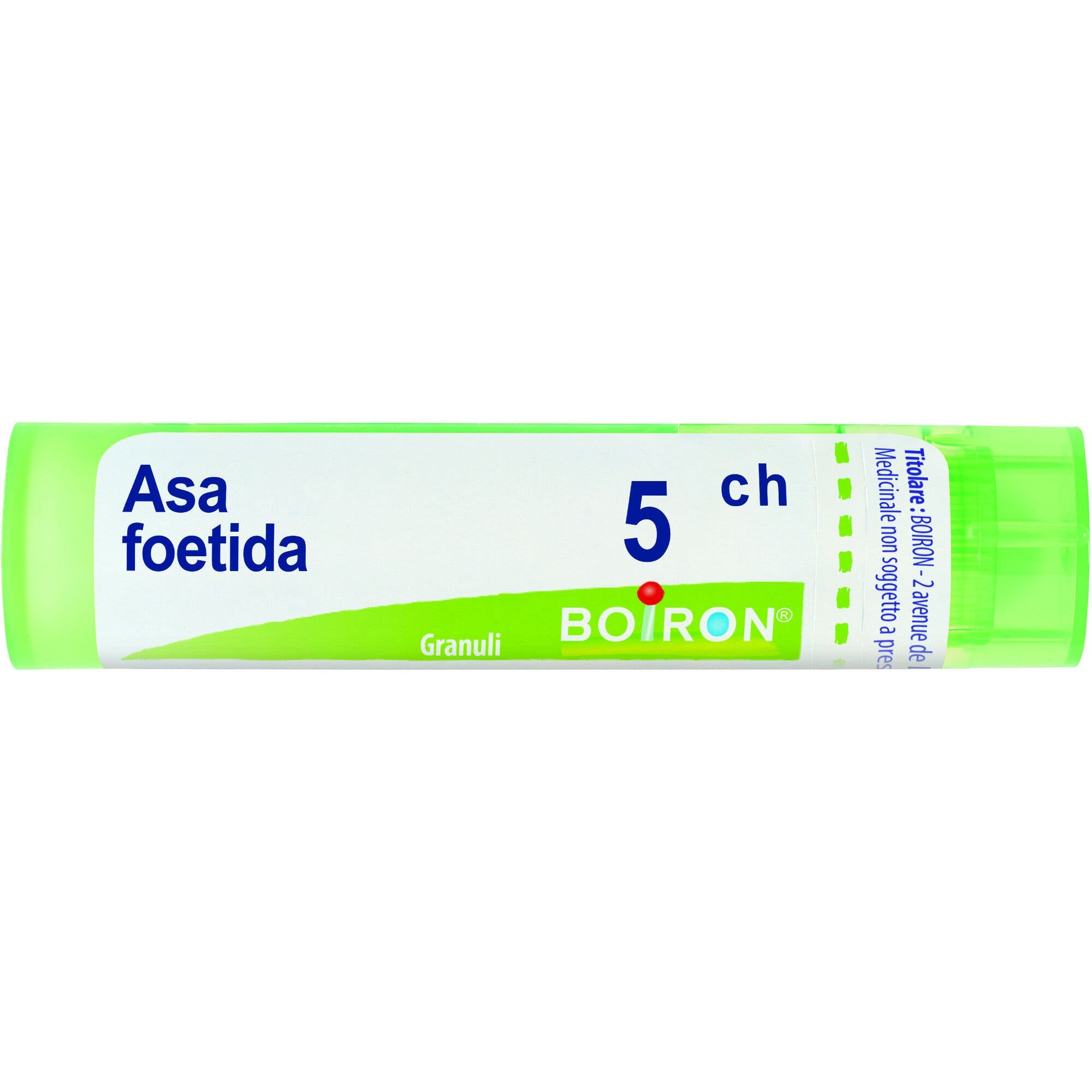 Boiron Asa Foetida 05Ch Tubo 80 Granuli 4g-2