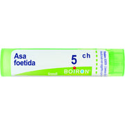 Boiron Asa Foetida 05Ch Tubo 80 Granuli 4g-1