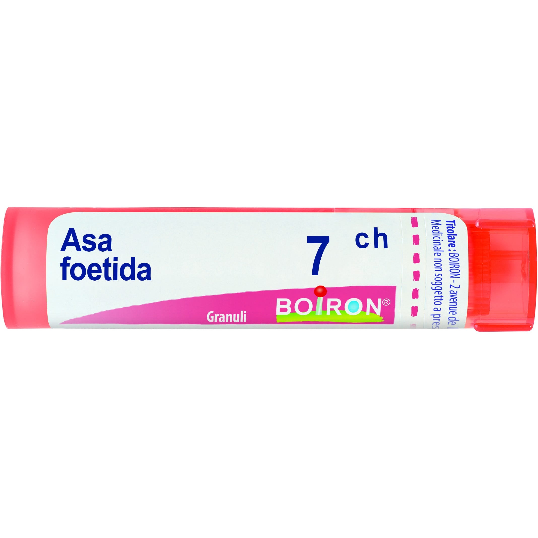 Boiron Asa Foetida 7Ch Tubo 80 Granuli 4g-1