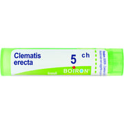 Boiron Clematis Erecta 05Ch Tubo 80 Granuli 4g-1