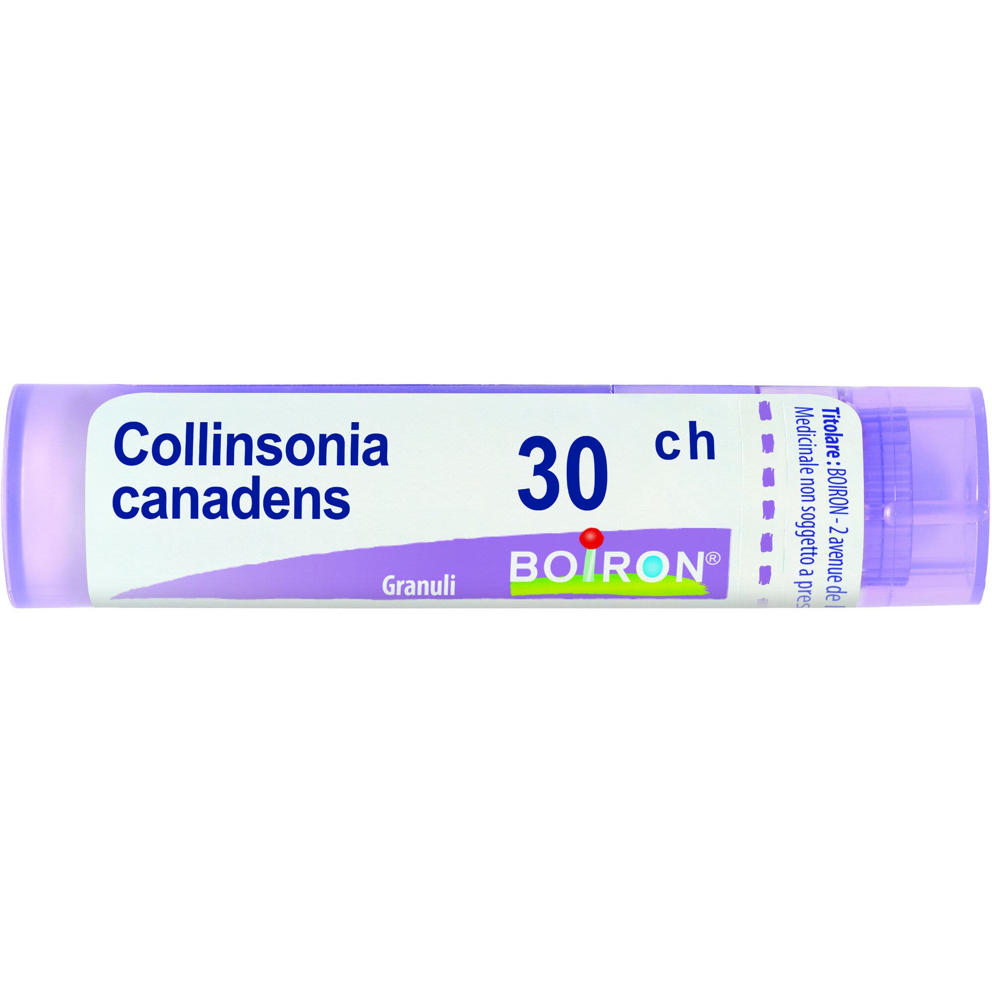 Boiron Collinsonia Canadensis 30Ch Tubo 80 Granuli 4g-3