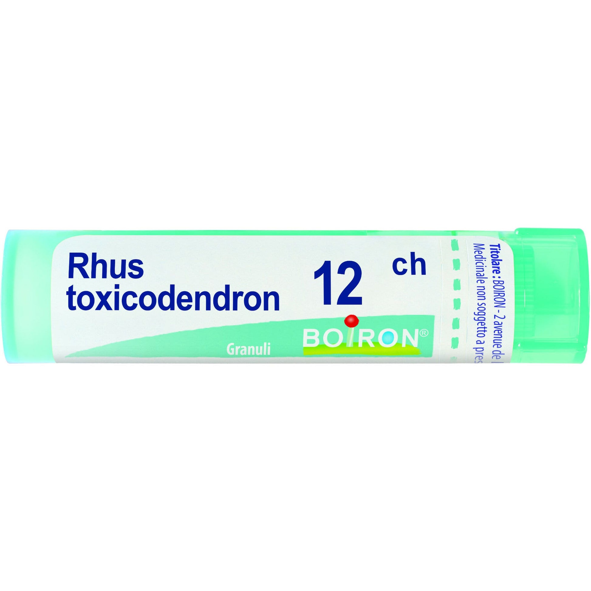 Boiron Rhus Toxicodendron 12Ch Tubo 80 Granuli 4g-2
