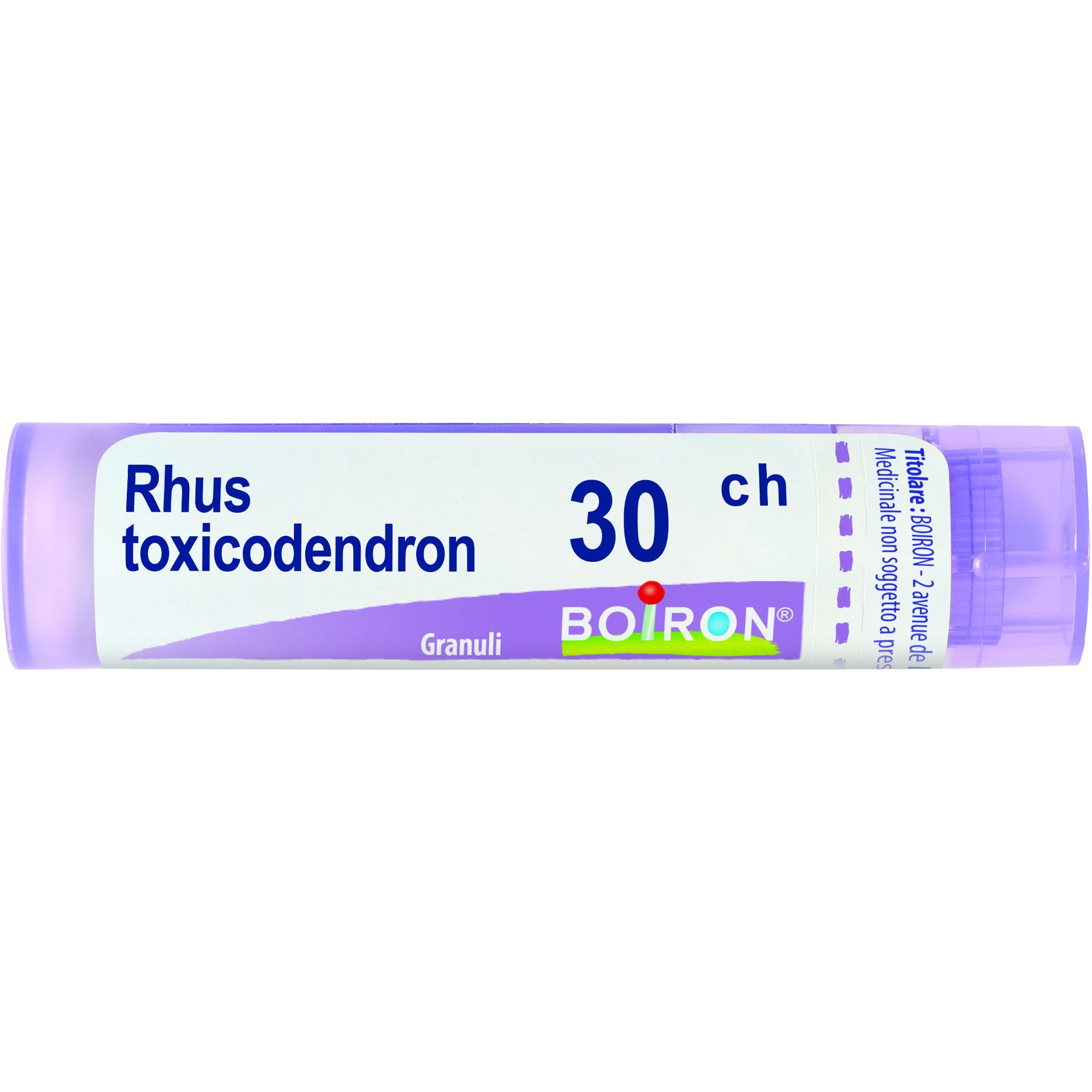 Boiron Rhus Toxicodendron 30Ch Tubo 80 Granuli 4g  - 2
