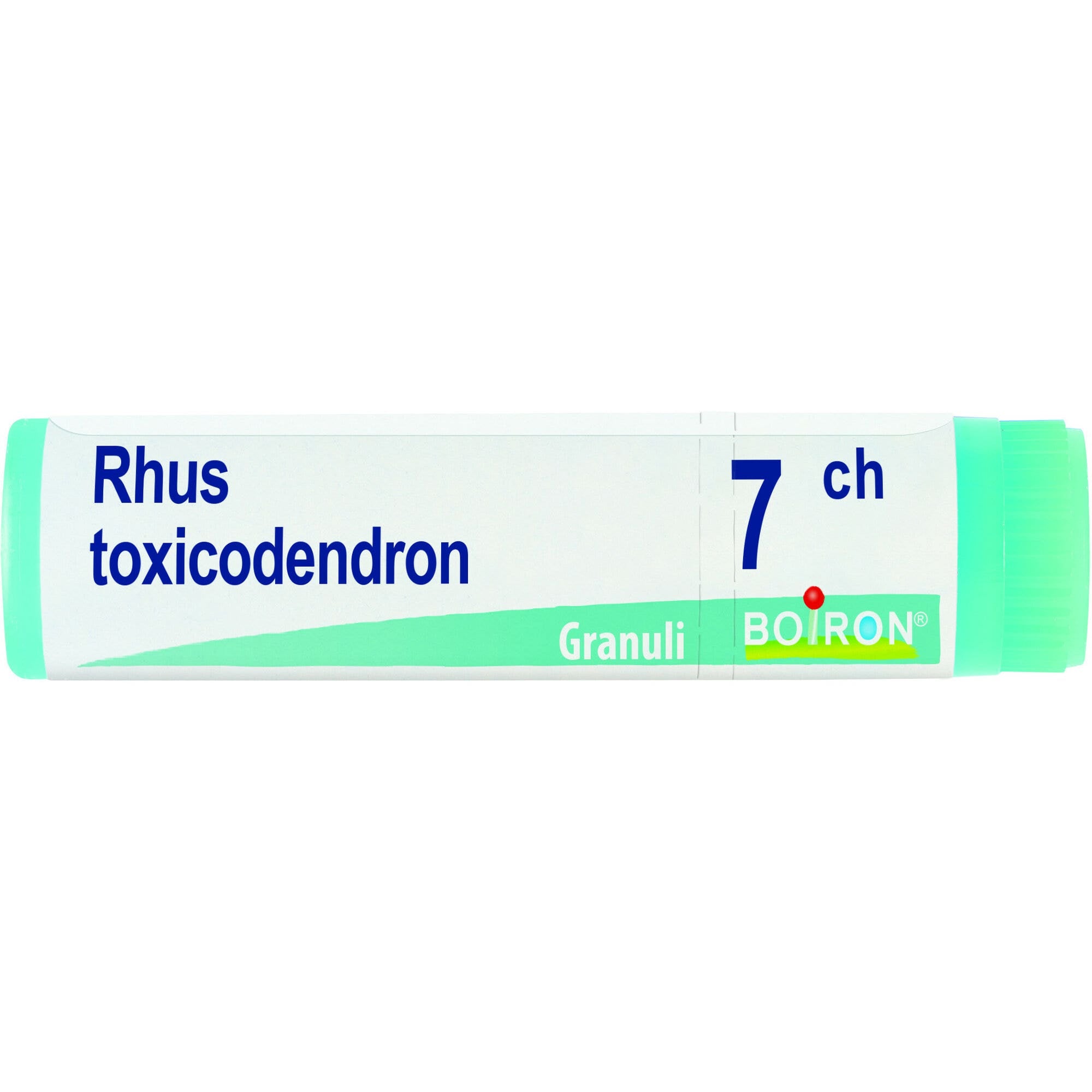 Boiron Rhus Toxicodendron Globuli 07Ch Dose 1g-2