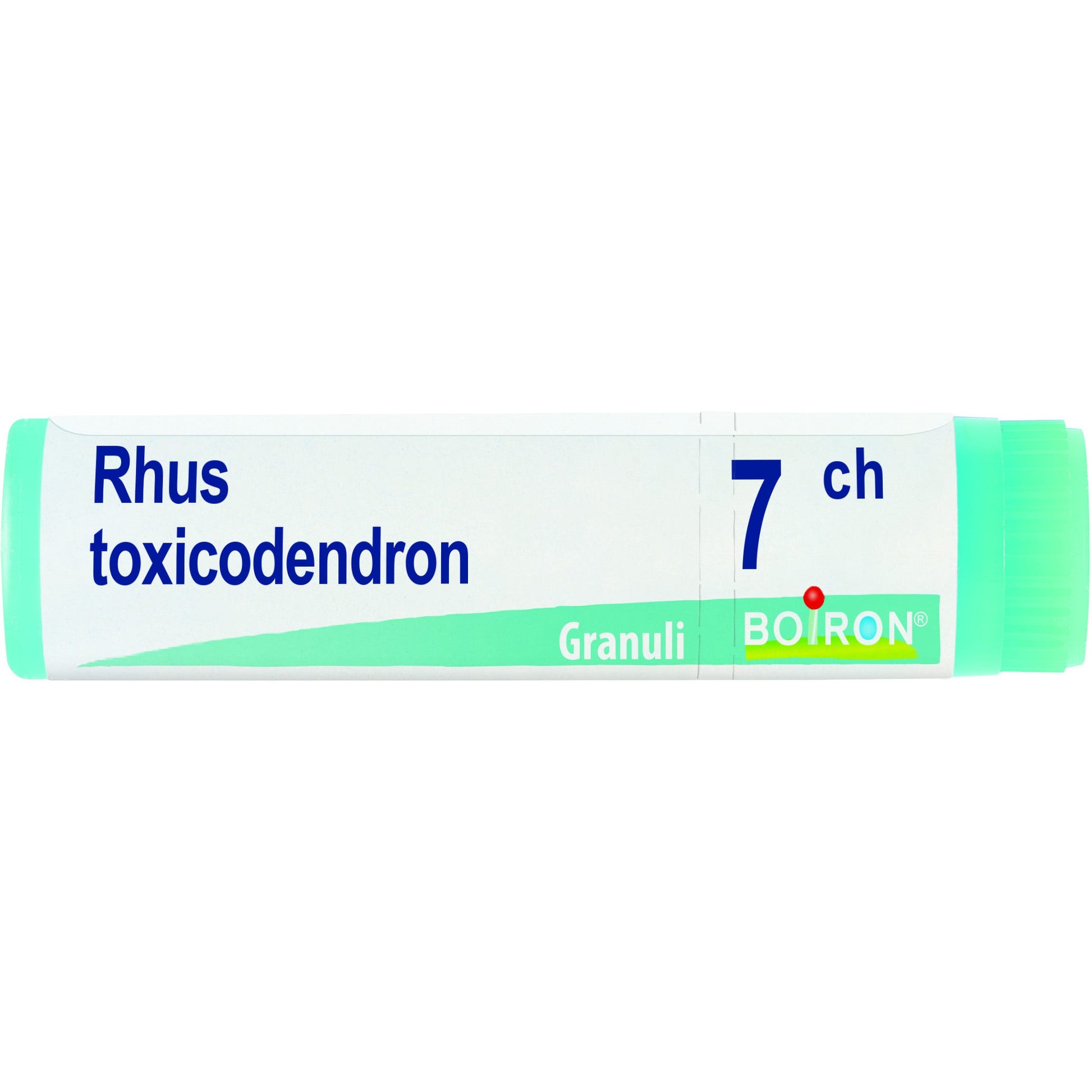 Boiron Rhus Toxicodendron Globuli 07Ch Dose 1g-1
