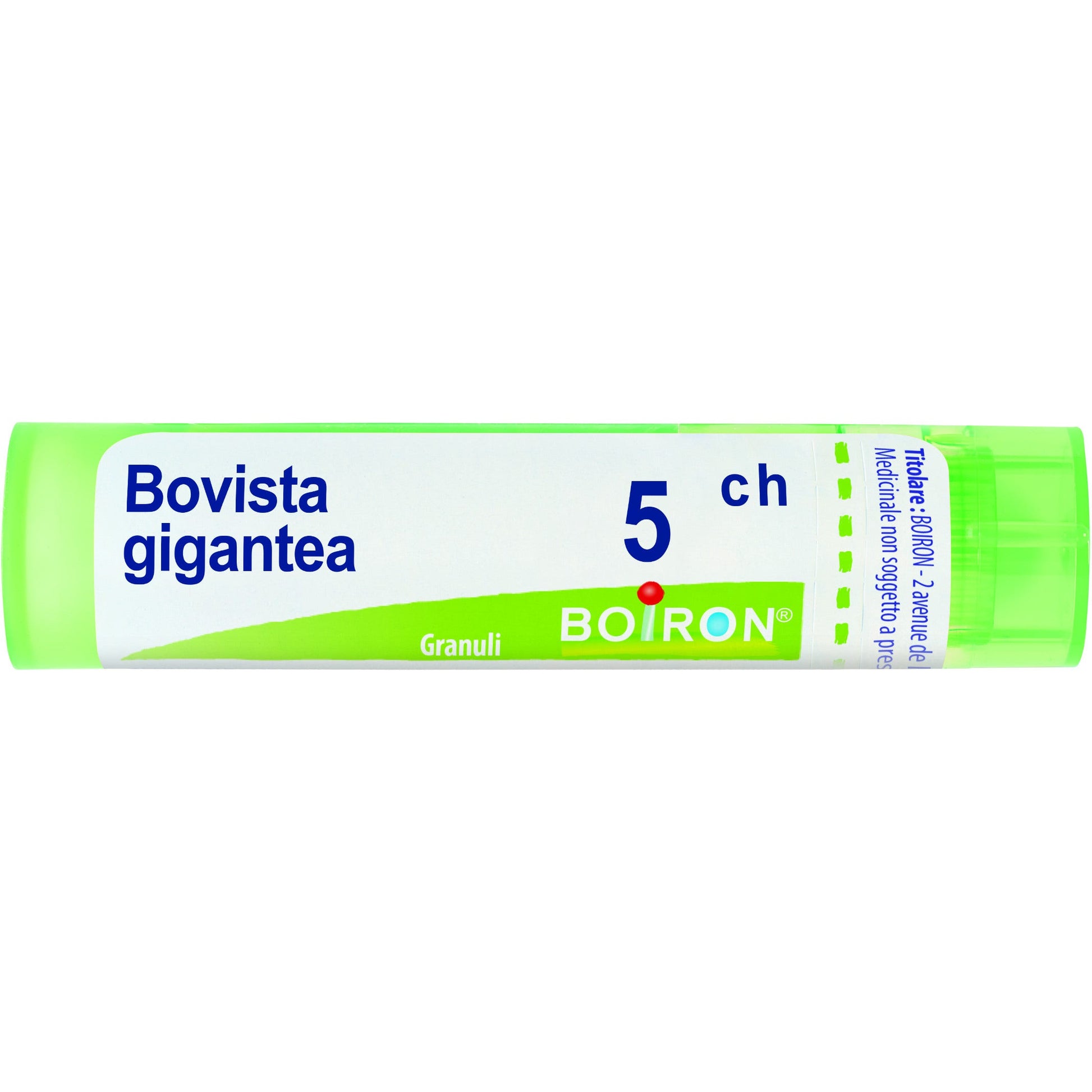 Boiron Bovista Gigantea 05Ch Tubo 80 Granuli 4g-1