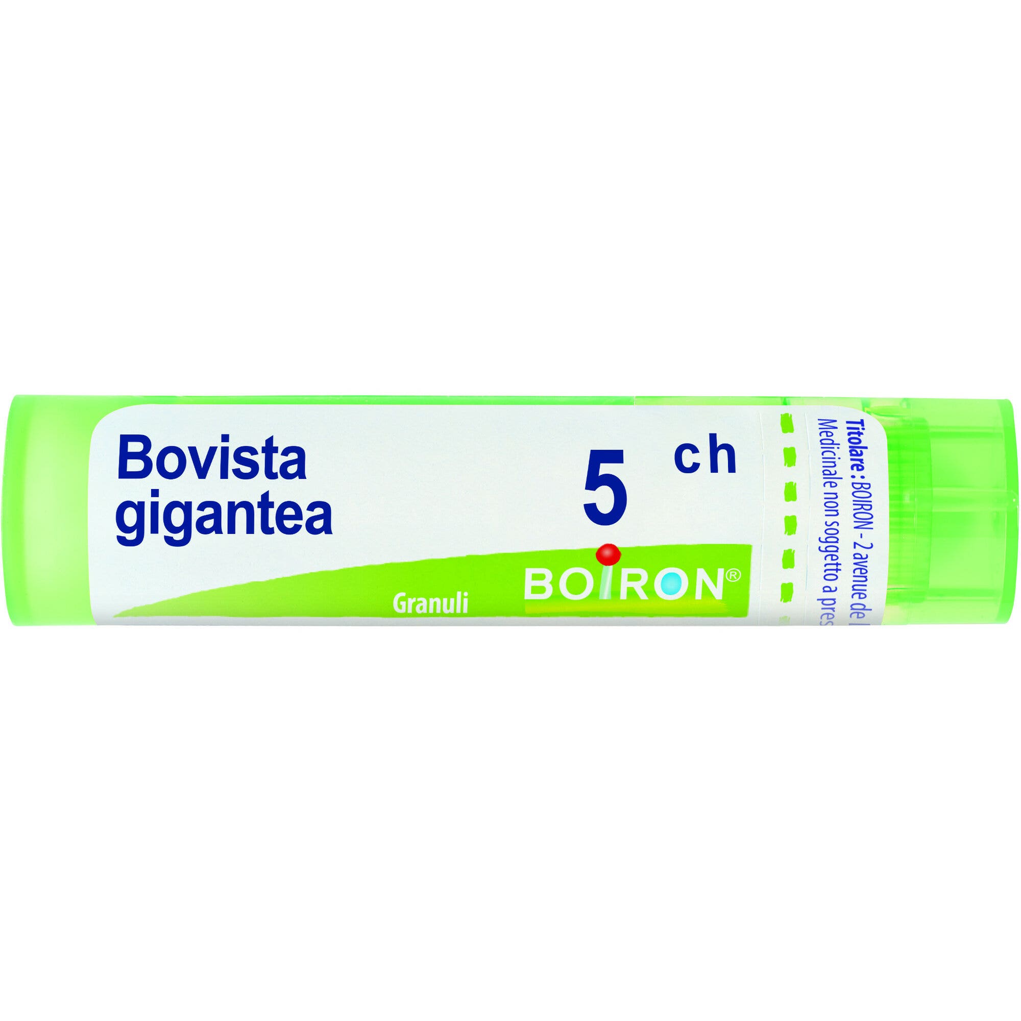 Boiron Bovista Gigantea 05Ch Tubo 80 Granuli 4g-2