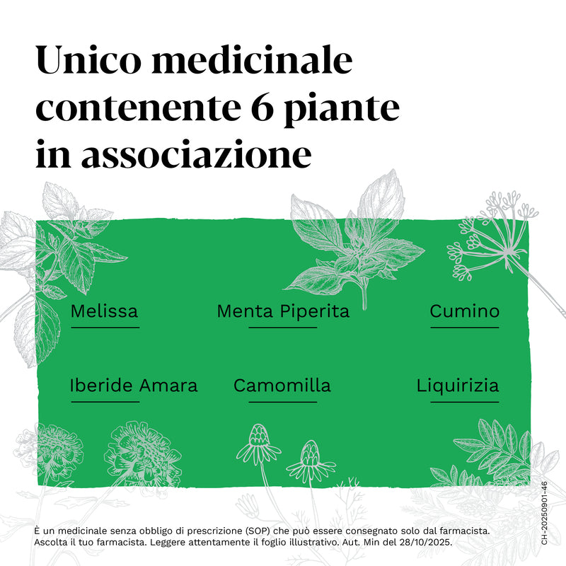 Iberogastadvance Gocce Orali Liquido 1 Flacone in Vetro da 100 ml con Applicatore Contagocce