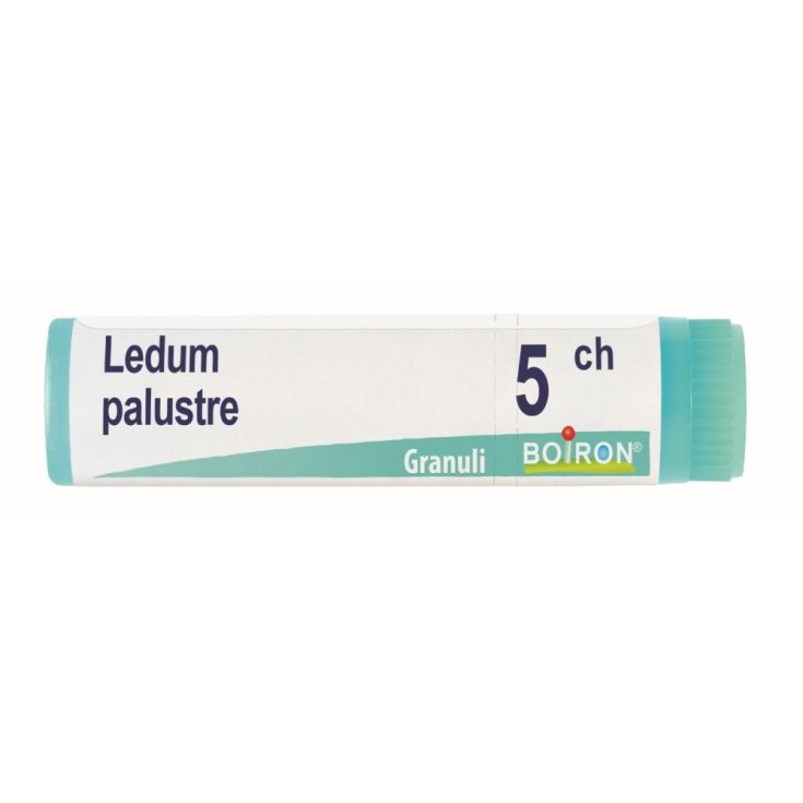 Boiron Ledum Palustre Globuli 5CH Dose 1 g