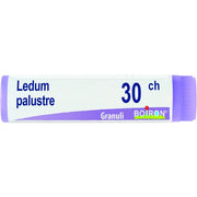 Boiron Ledum Palustre Globuli 30Ch Dose 1g-1