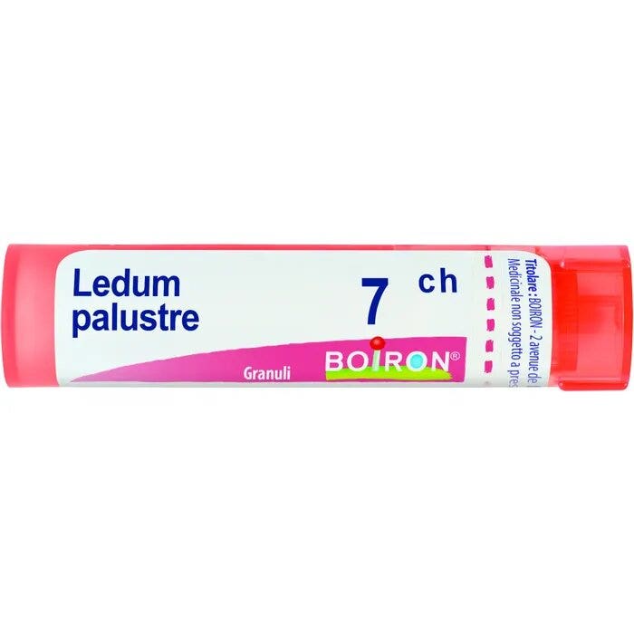 Boiron Ledum Palustre Granuli 07Ch Tubo 4g-1