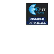 ZINGIBER OFFICINALE EF 30ML-1