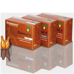 ESSENTIAL 6 SPOT ON CANE 0/10K-1